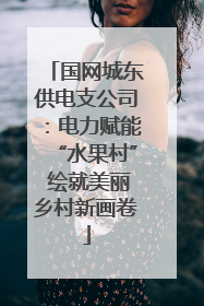 国网城东供电支公司：电力赋能“水果村” 绘就美丽乡村新画卷